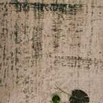 שטיח קרלוצ'י דגם Scru ירוק