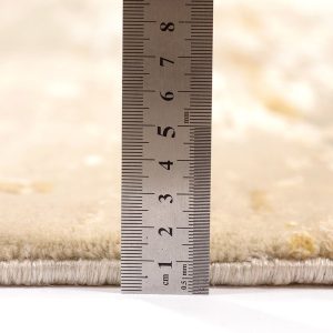 שטיח הדסון – תמונה 3