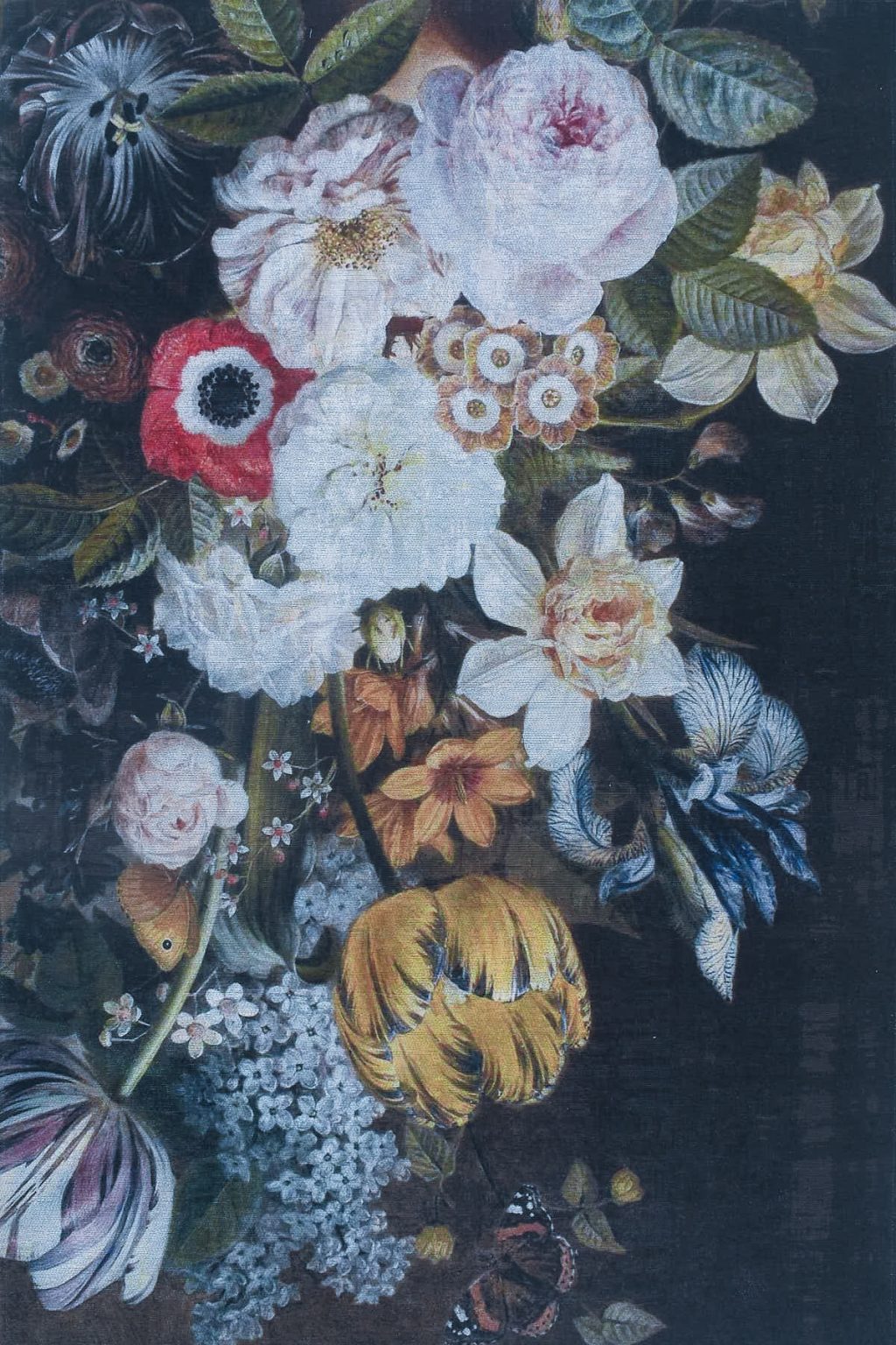 שטיח מרנטה ASTER