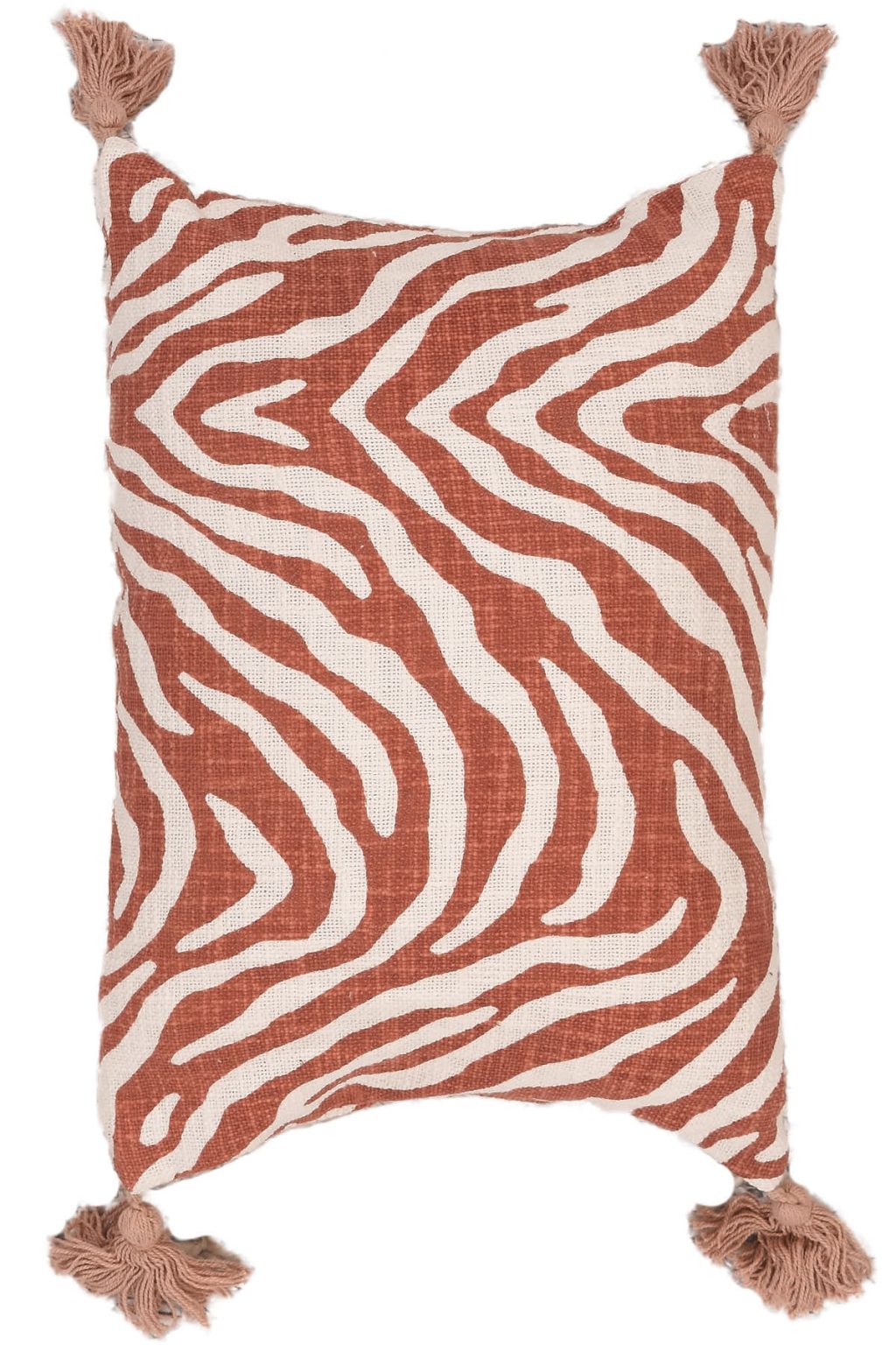 כרית נוי בסגנון מודרני עם דוגמת פסי זברה