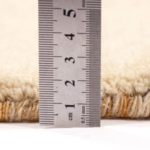 שטיח גבה הודי 03 – תמונה 7