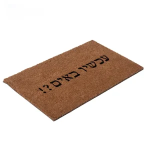שטיח כניסה לבית עכשיו באים