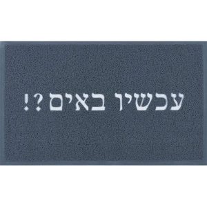 שטיח כניסה עכשיו באים | שטיח כניסה לבית – תמונה 1