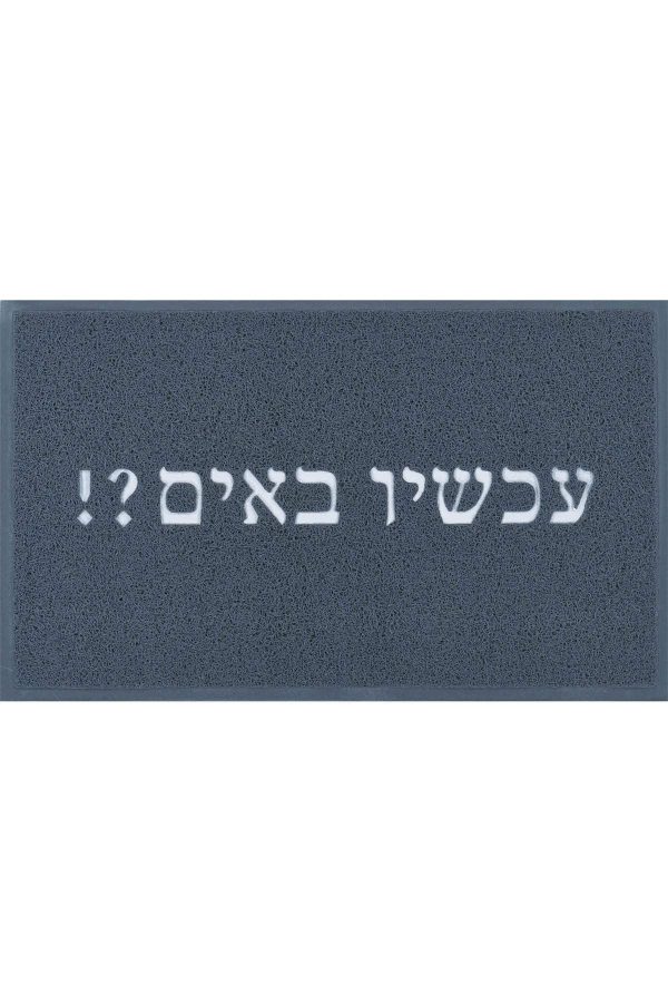 שטיח-כניסה-עכשיו-באים