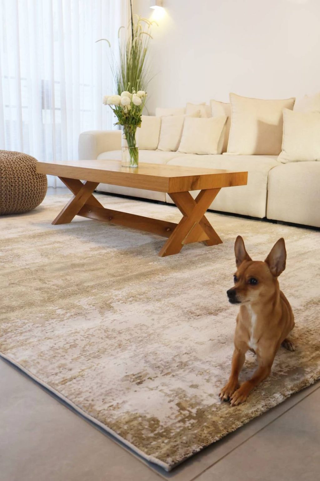 שטיח גאיה B801H