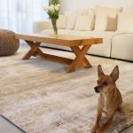 שטיח גאיה B801H