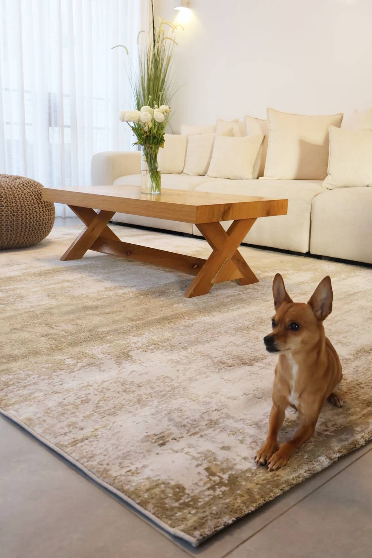 שטיח גאיה B801H