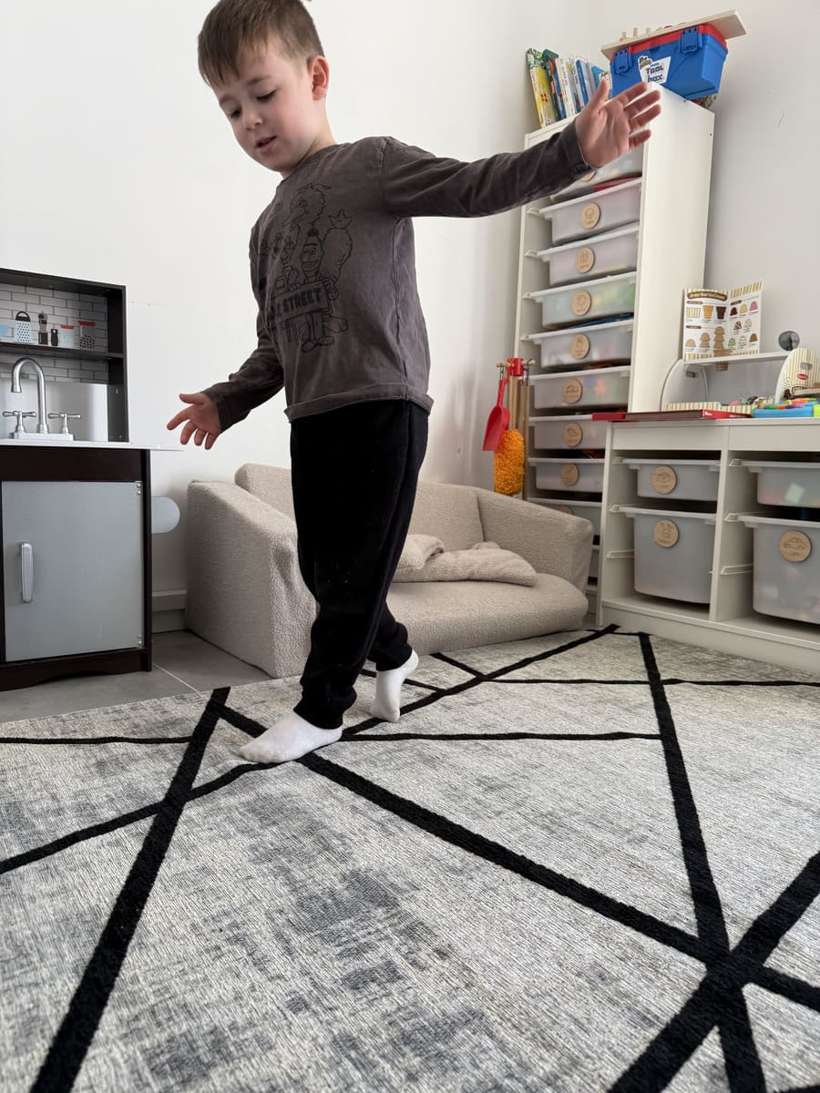 שטיח מנילה HAILEY כסף שחור