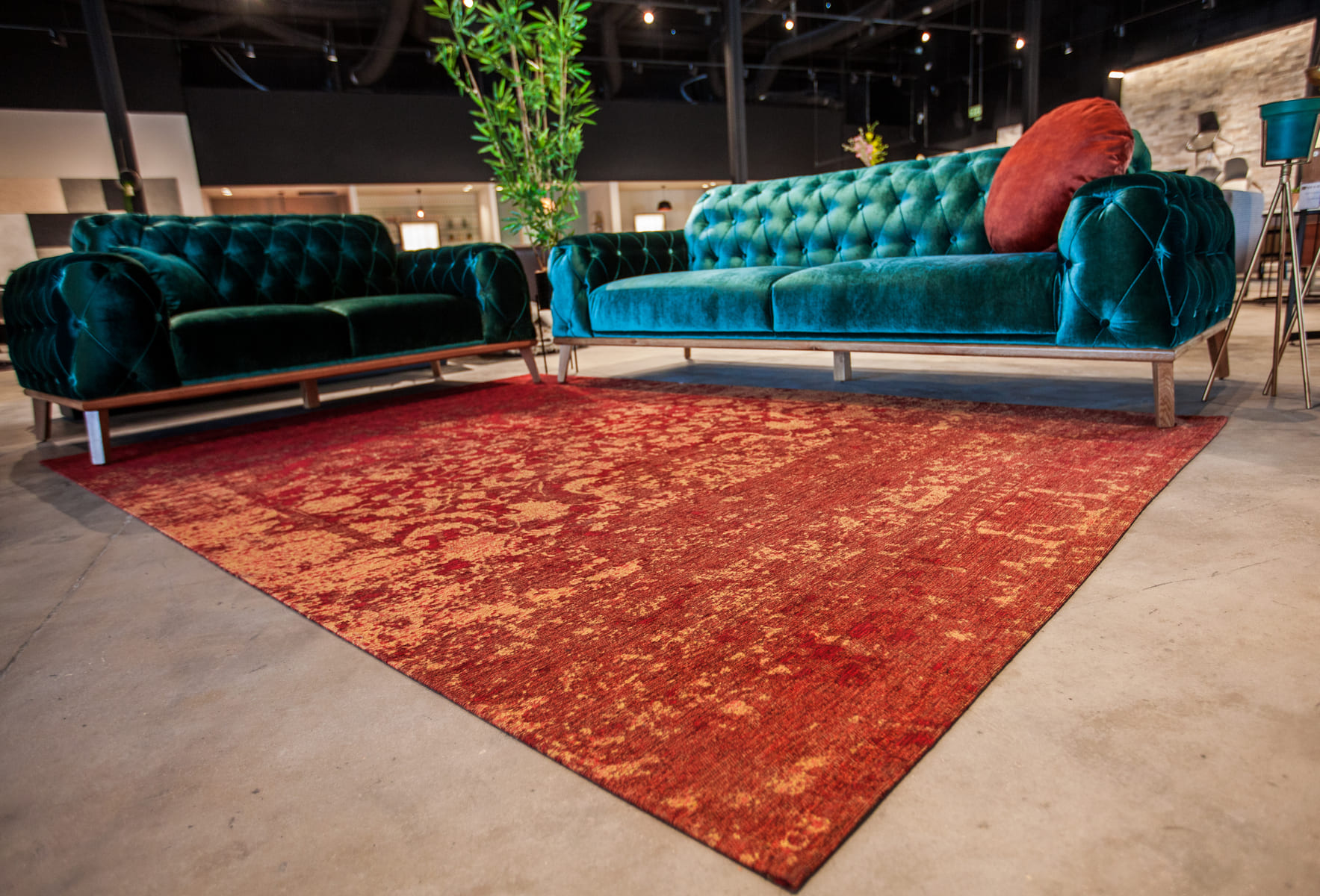 שטיח קרלוצ'י דגם Murci צבע בריק